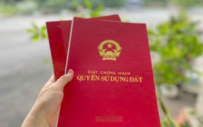 cầm sổ đỏ không chính chủ