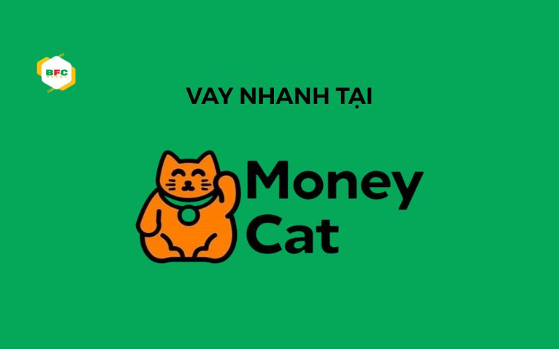 vay tiền moneycat