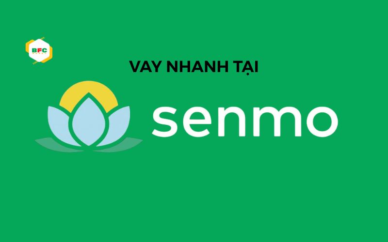 app vay tiền không thẩm định
